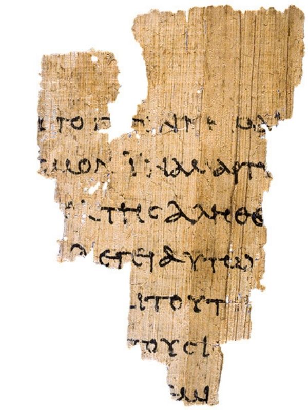 P52 Fragment